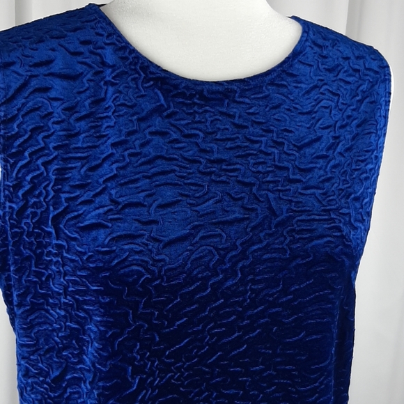 Picadilly Blue Velvet top - Picture 2 of 5